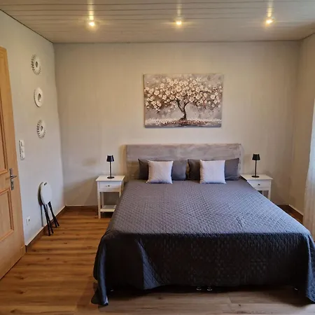 Am Rhein By Interhome * Duisburgo